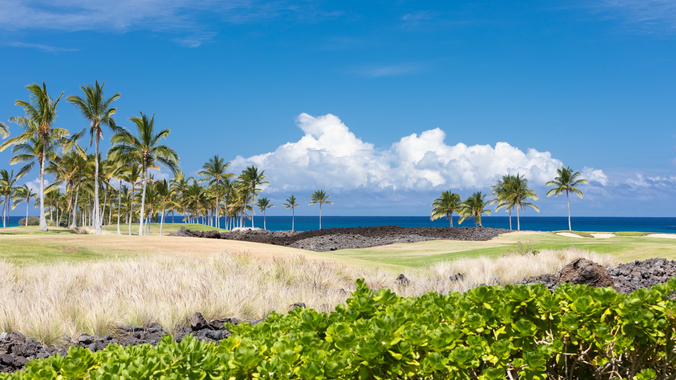 Townhouse in Waikoloa Village · ★4.84 · 3 bedrooms · 4 beds · 2 baths - Photo 41