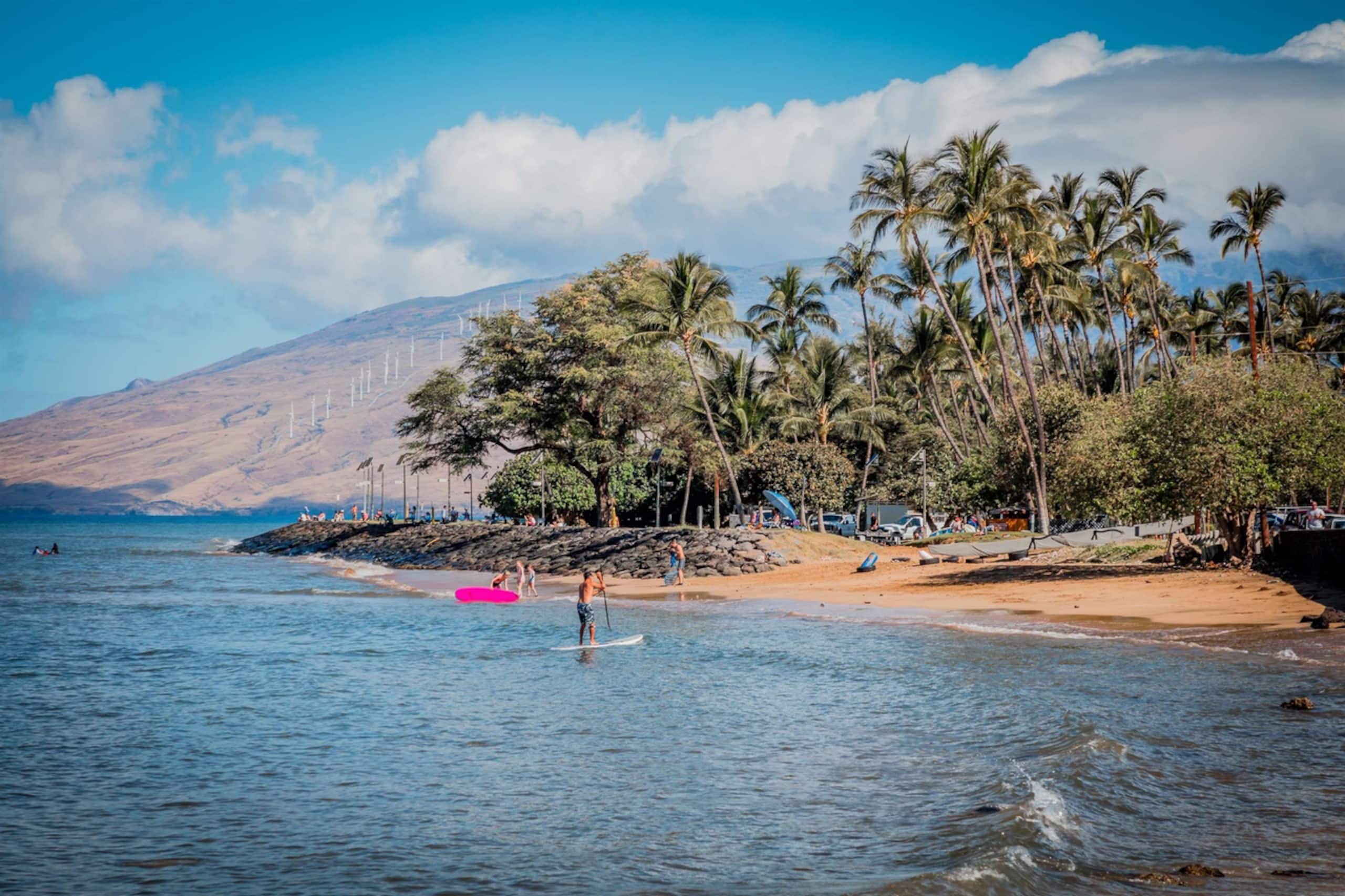 Condo in Kihei · ★5.0 · 1 bedroom · 2 beds · 1 bath - Image 32