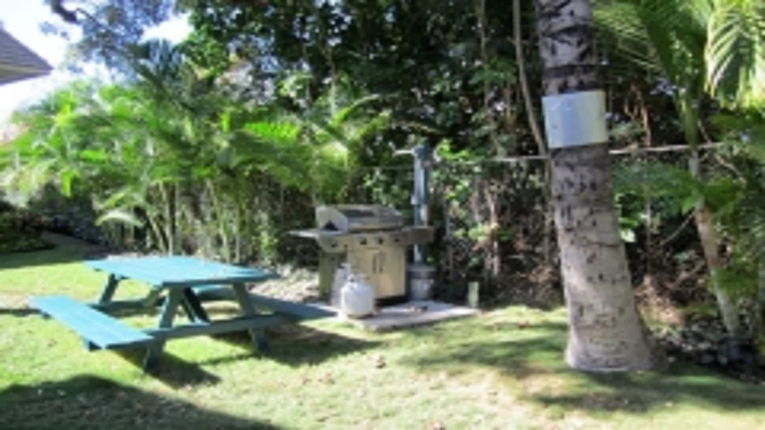 Condo in Kihei · ★5.0 · 1 bedroom · 2 beds · 1 bath - Image 10