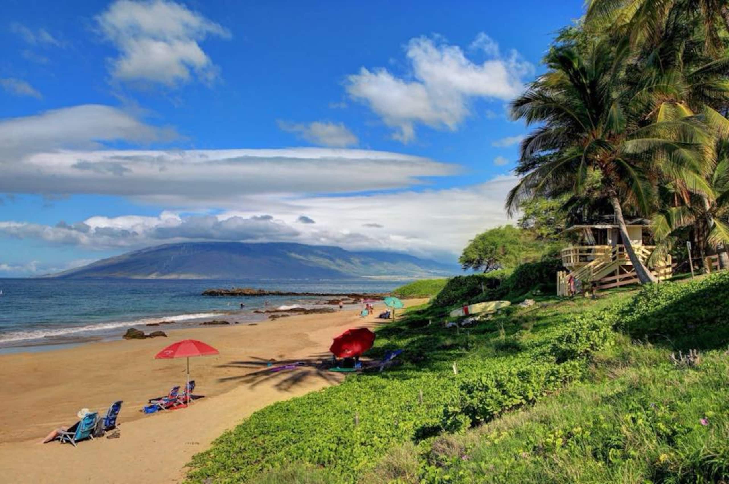 Condo in Kihei · ★5.0 · 1 bedroom · 2 beds · 1 bath - Image 23