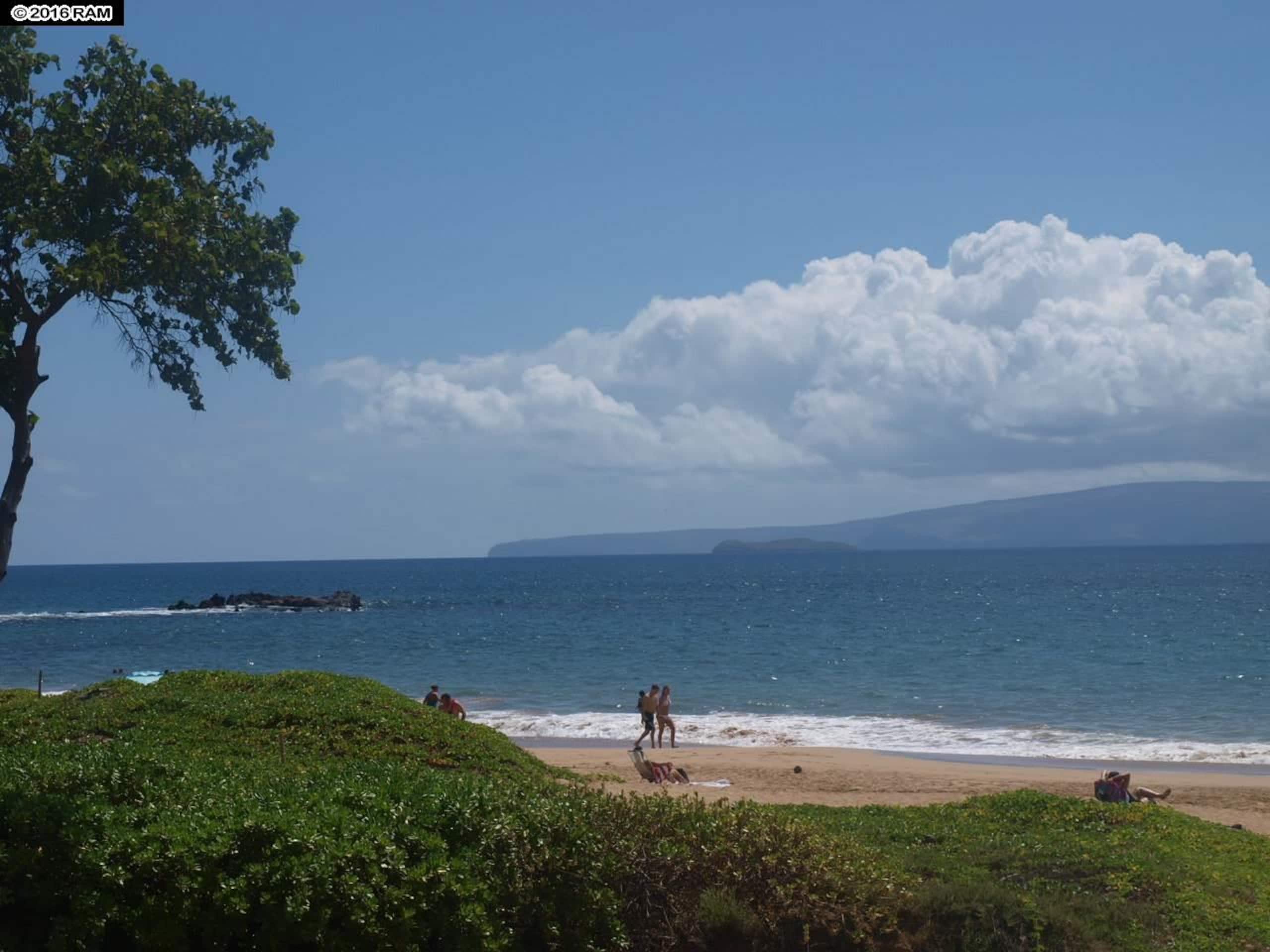 Condo in Kihei · ★5.0 · 1 bedroom · 2 beds · 1 bath - Image 26