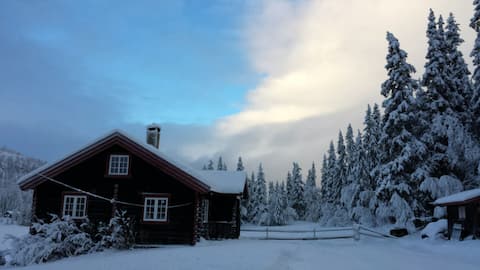 The log cabin at Viken Fjellgård, at fishing waters.
