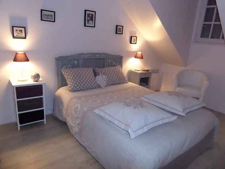 Habitación con 1 cama doble