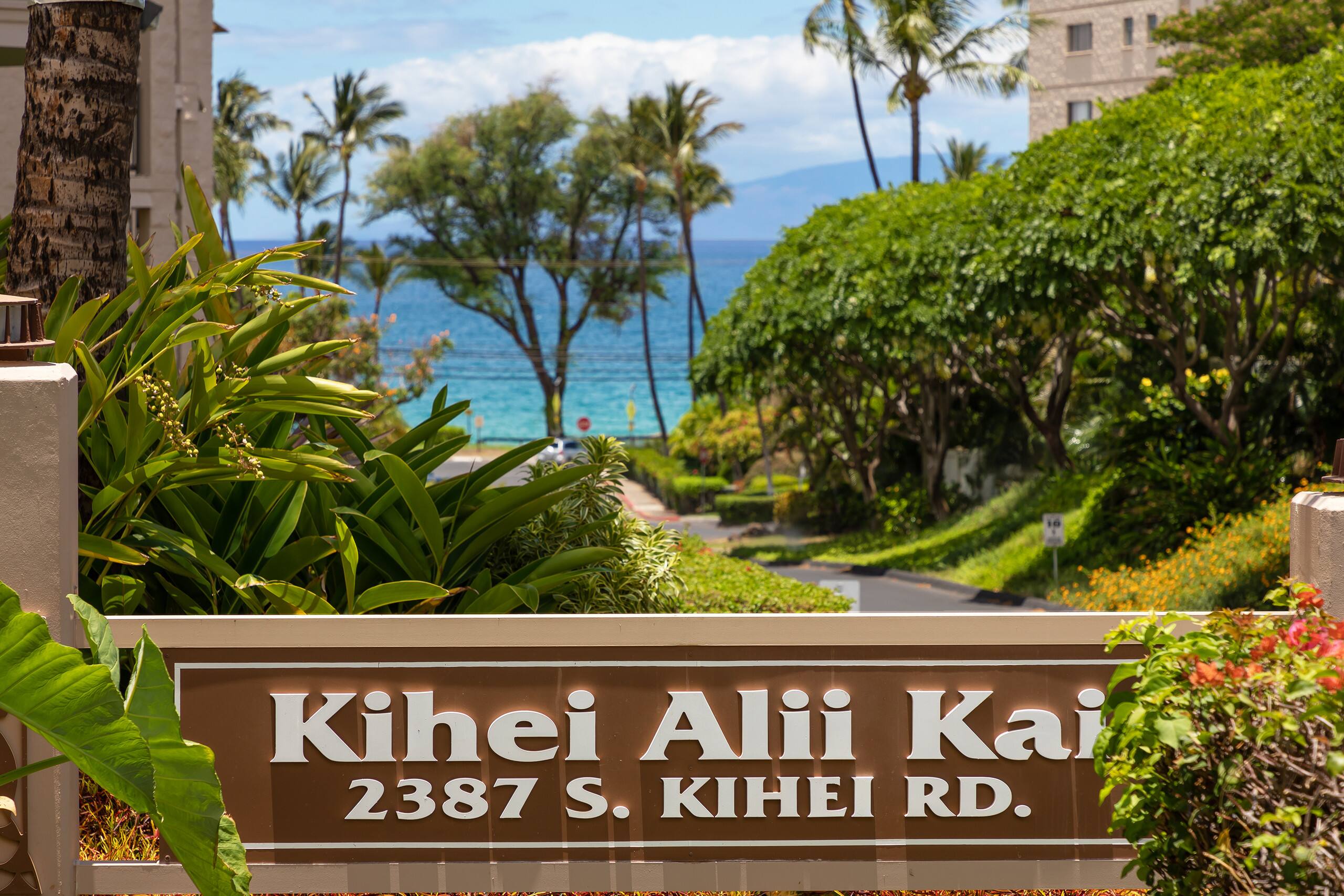 Condo in Kihei · ★4.99 · 1 bedroom · 1 bed · 1 bath - Image 37
