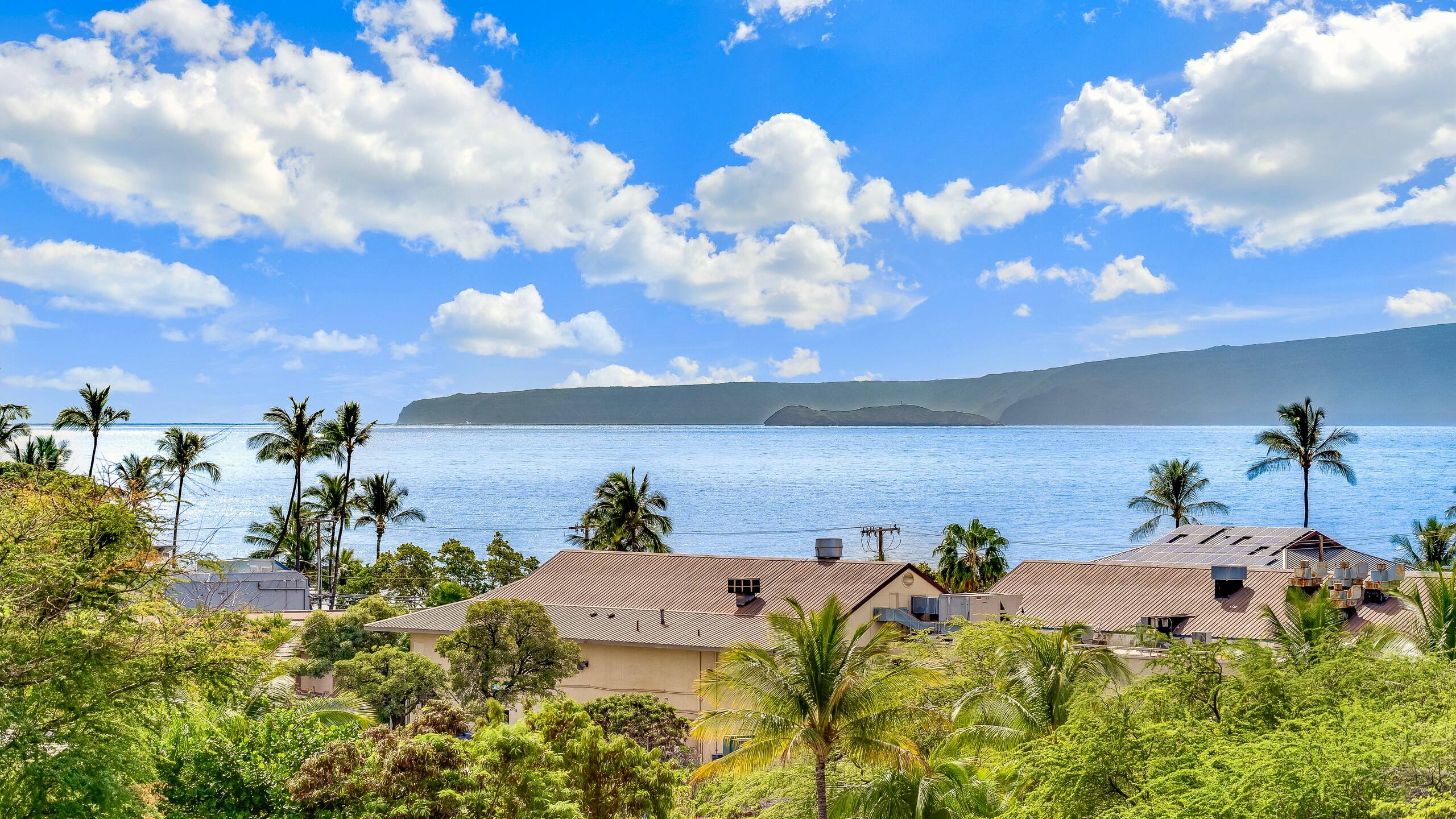 Condo in Kihei · ★4.99 · 1 bedroom · 1 bed · 1 bath - Image 42