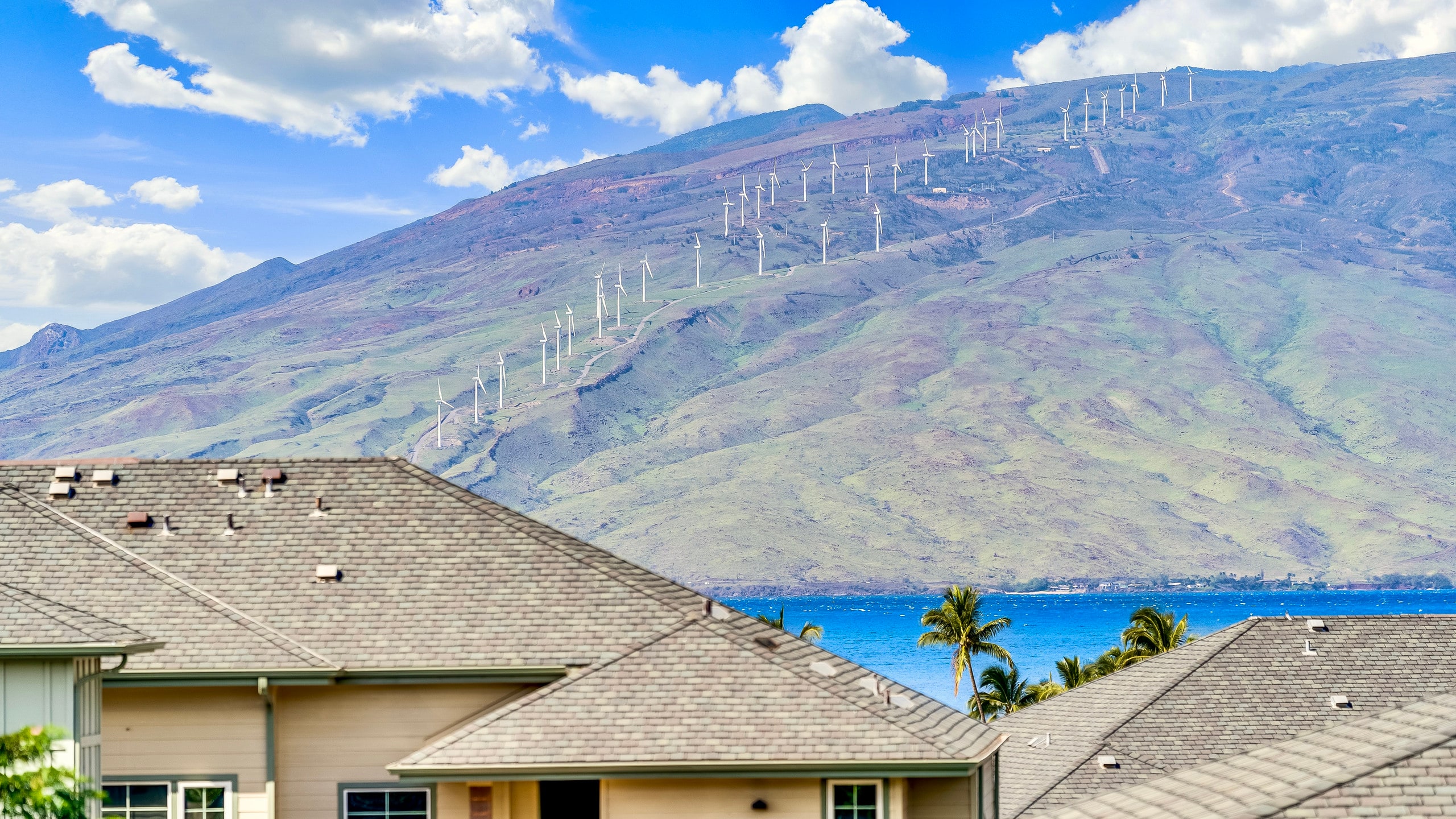 Condo in Kihei · ★4.99 · 1 bedroom · 1 bed · 1 bath - Image 19