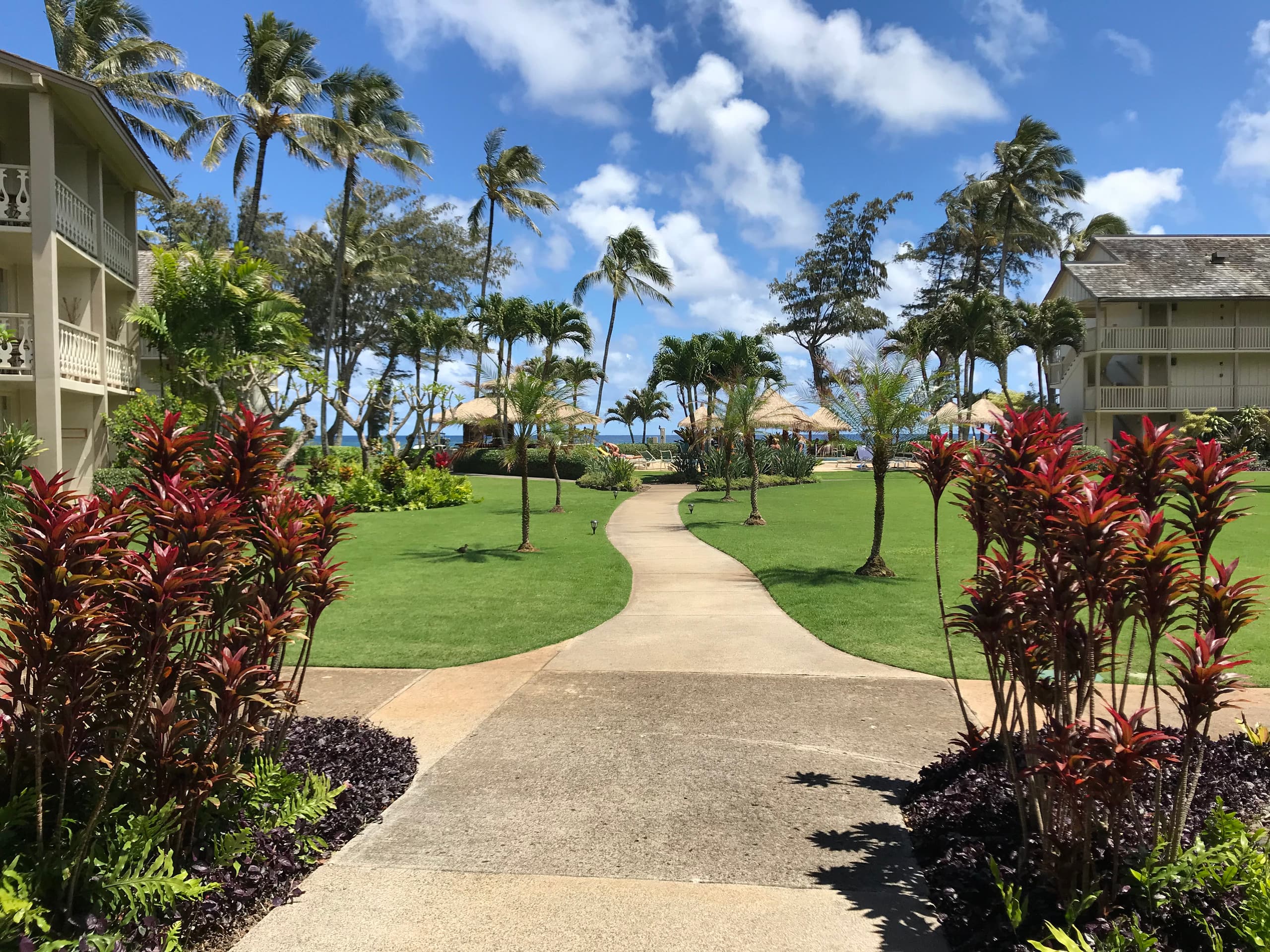 Beachside Ocean View in Paradise w/Pool & Hot Tub - Photo 29