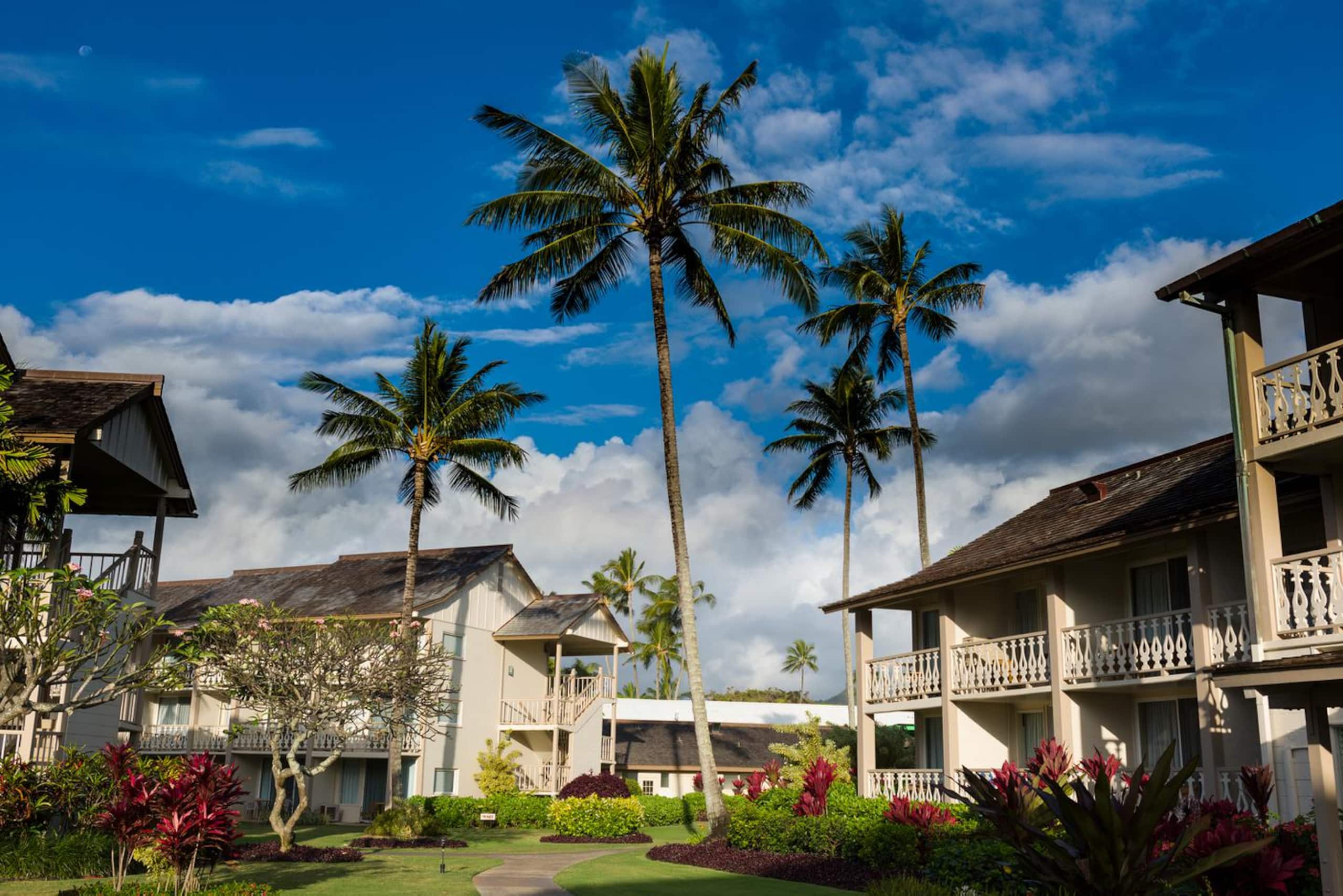 Beachside Ocean View in Paradise w/Pool & Hot Tub - Photo 30