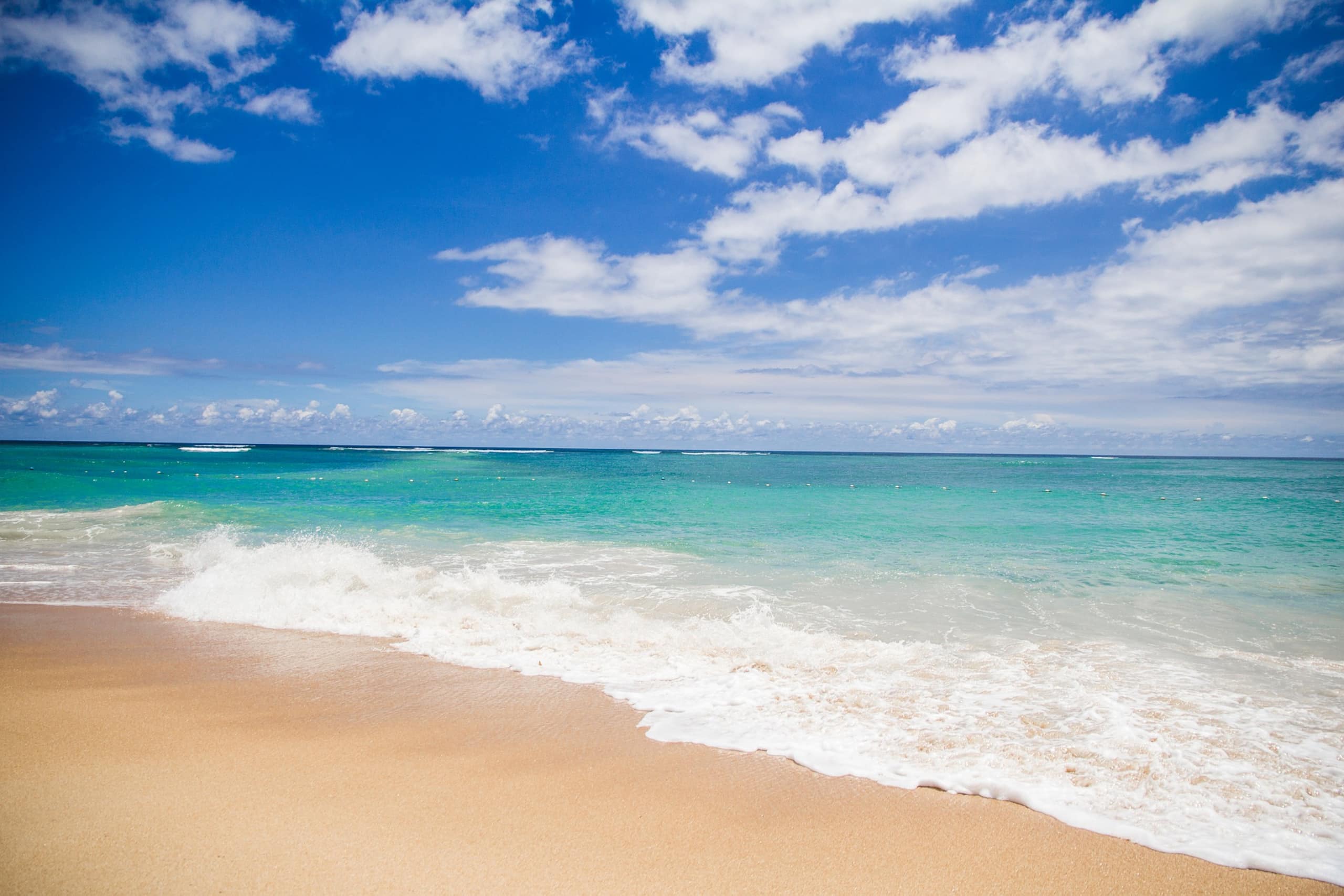 Beachside Ocean View in Paradise w/Pool & Hot Tub - Photo 10