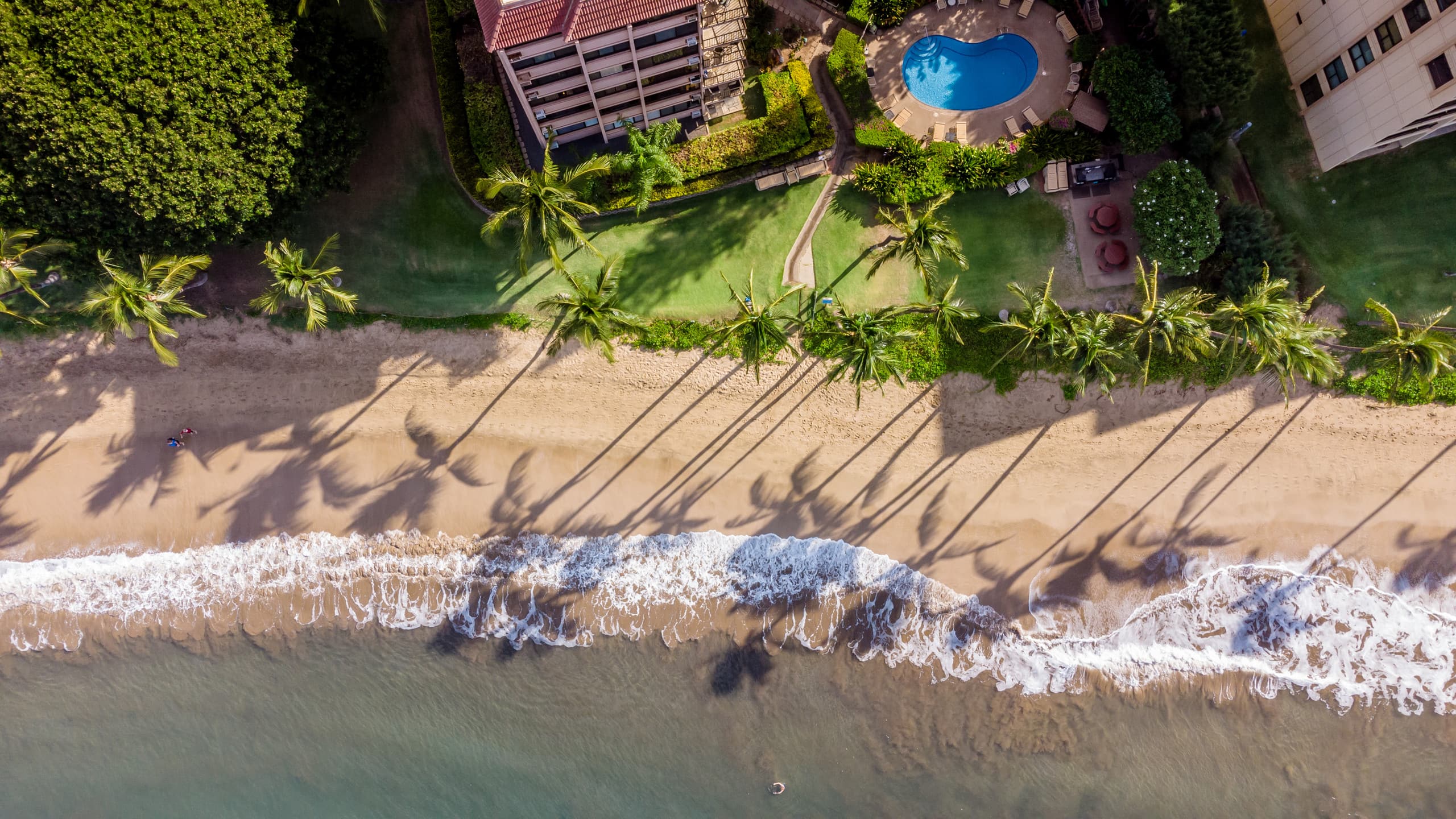Condo in Kihei · ★4.86 · 1 bedroom · 2 beds · 1 bath - Image 38