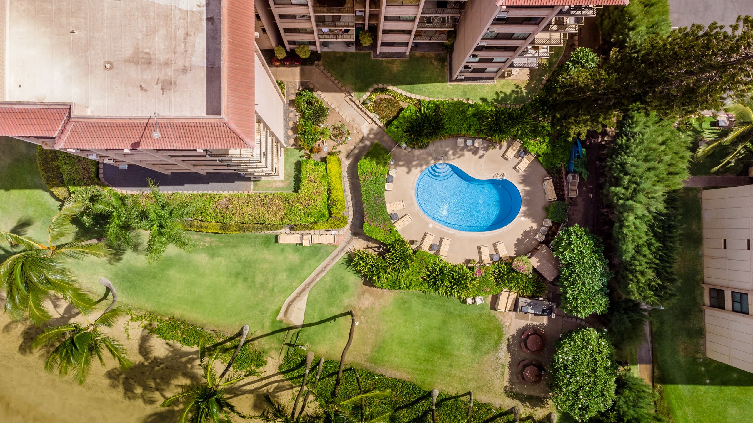 Condo in Kihei · ★4.86 · 1 bedroom · 2 beds · 1 bath - Image 39