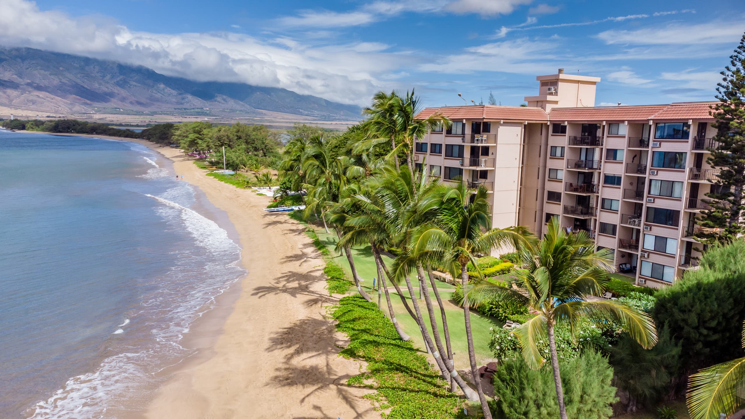 Condo in Kihei · ★4.86 · 1 bedroom · 2 beds · 1 bath - Image 43
