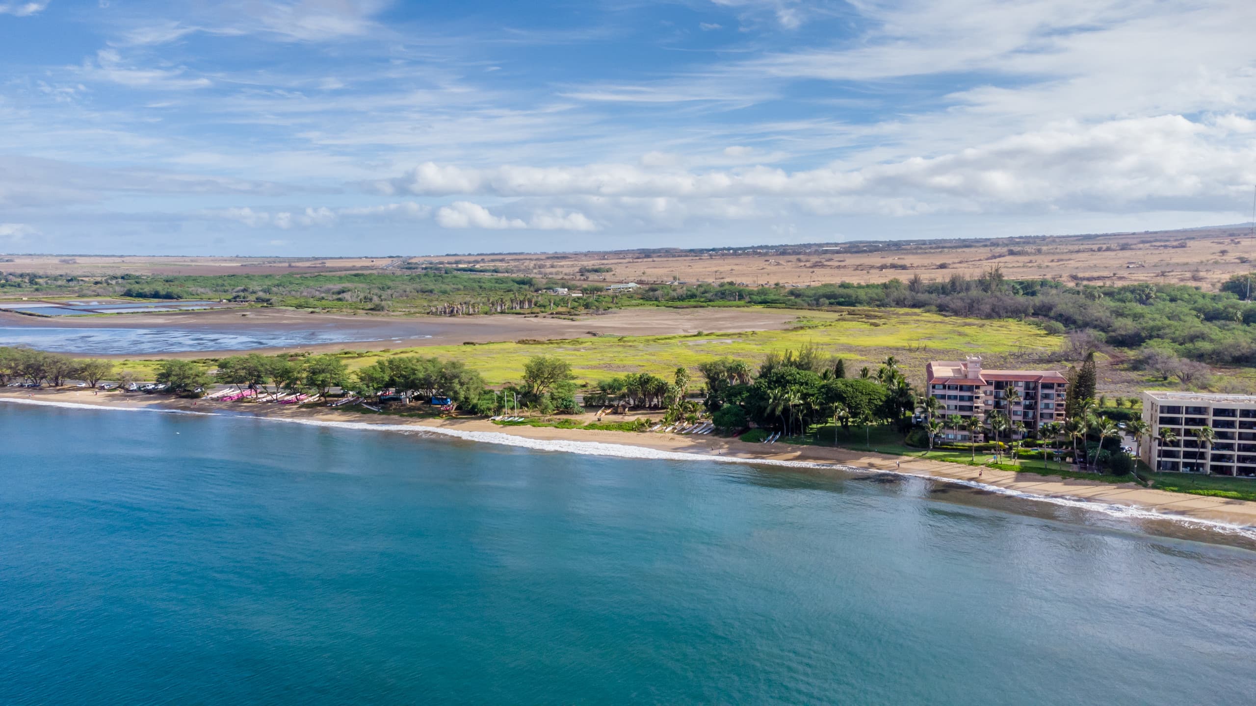 Condo in Kihei · ★4.86 · 1 bedroom · 2 beds · 1 bath - Image 46