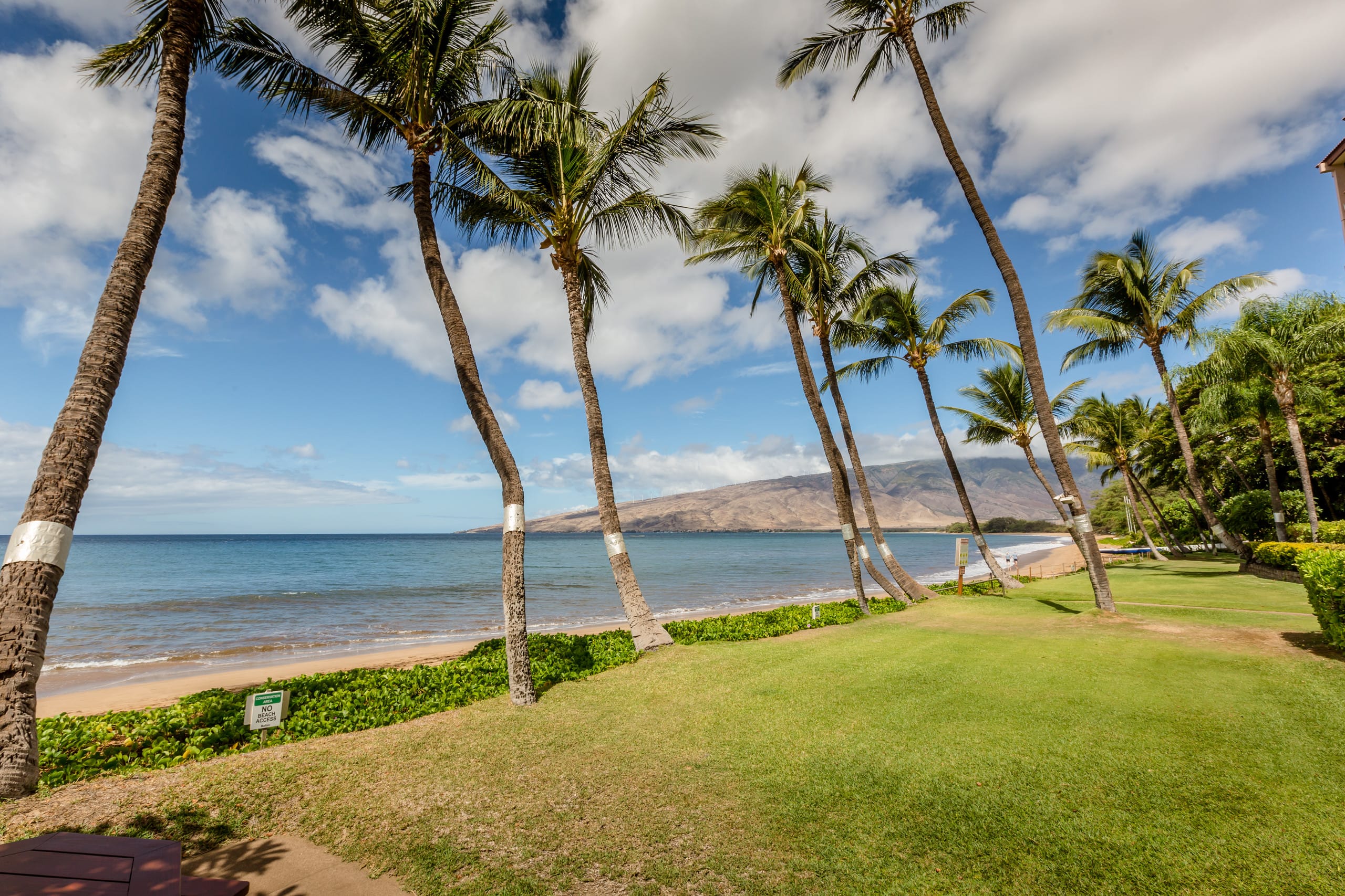 Condo in Kihei · ★4.86 · 1 bedroom · 2 beds · 1 bath - Image 42