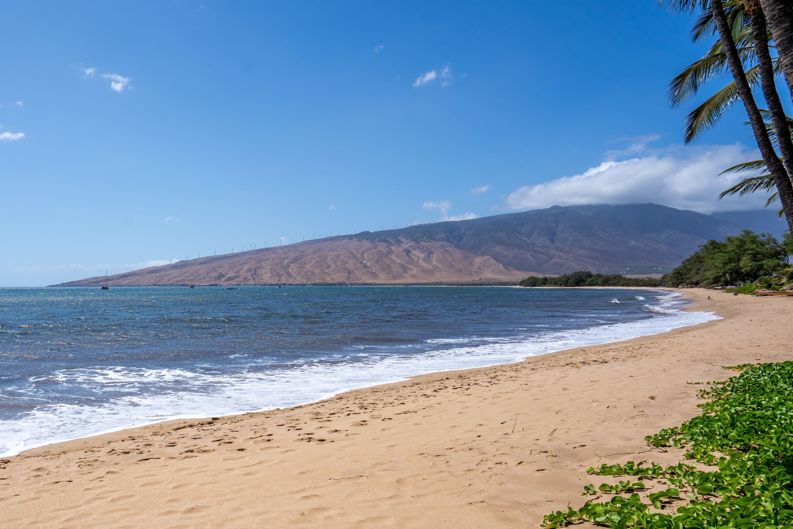 Condo in Kihei · ★4.86 · 1 bedroom · 2 beds · 1 bath - Image 56