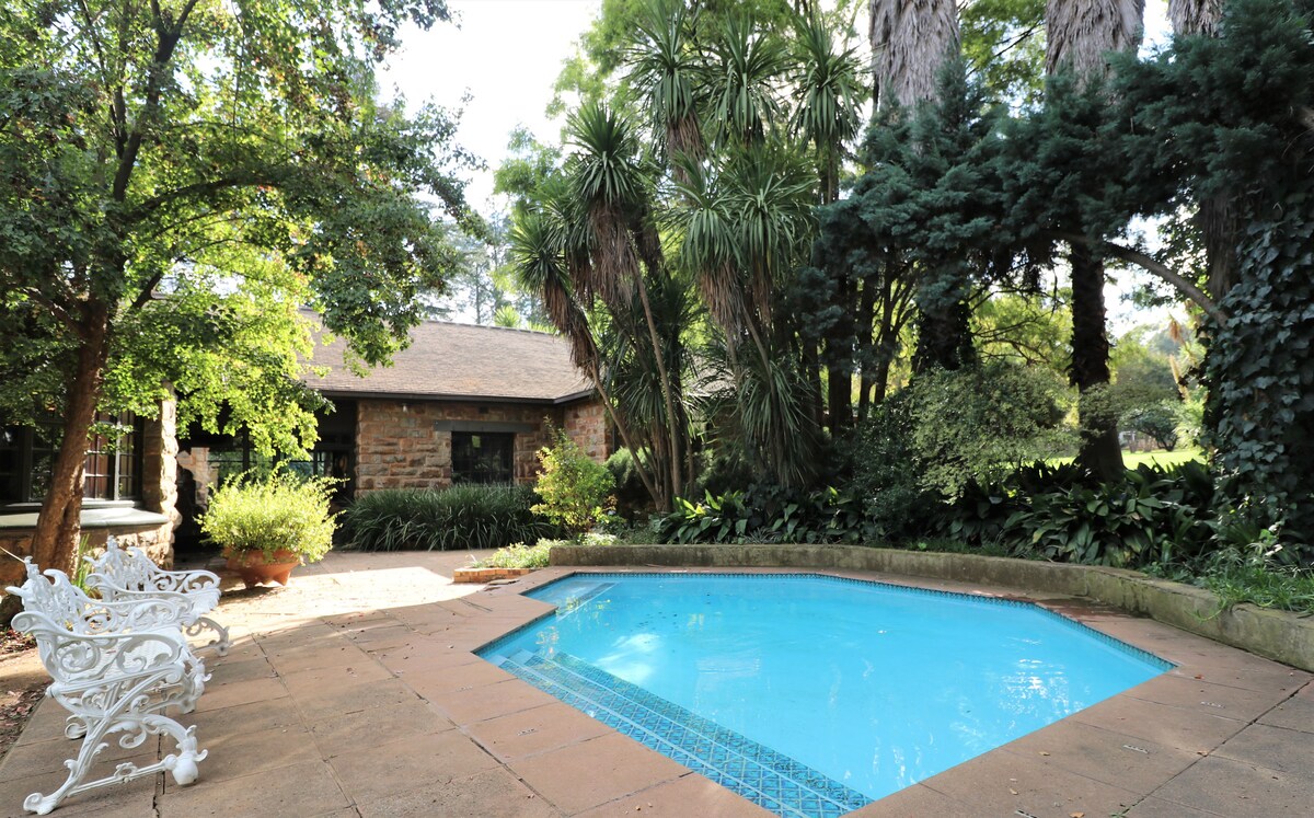 A small, inviting pool sits surrounded by lush greenery and tall palms. The area features patterned stone paving, with a white metal bench placed nearby for seating. Sunlight filters through the trees, creating a calm atmosphere.