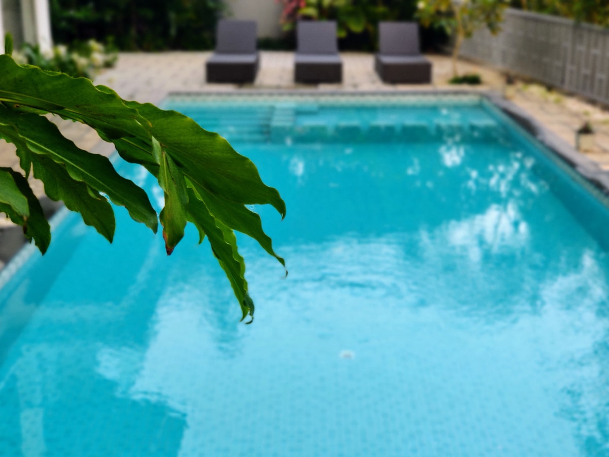 A tranquil swimming pool is displayed, featuring clear blue water surrounded by a paved area. Three lounge chairs are positioned nearby, with lush greenery adding a natural touch to the environment.