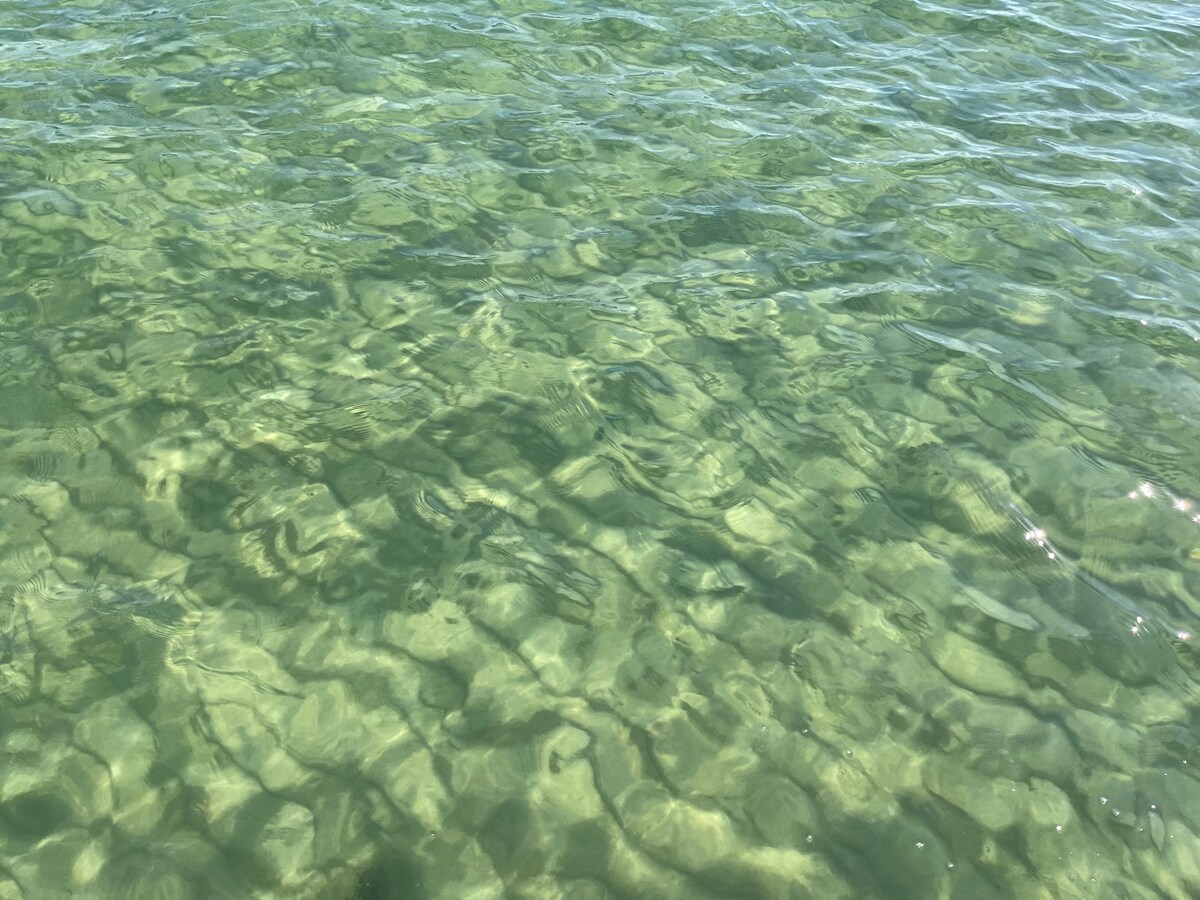 Calm, clear water reveals a sandy bottom, with sunlight creating gentle ripples on the surface. The natural hues of turquoise and emerald blend together, highlighting the serene environment ideal for beachside relaxation.