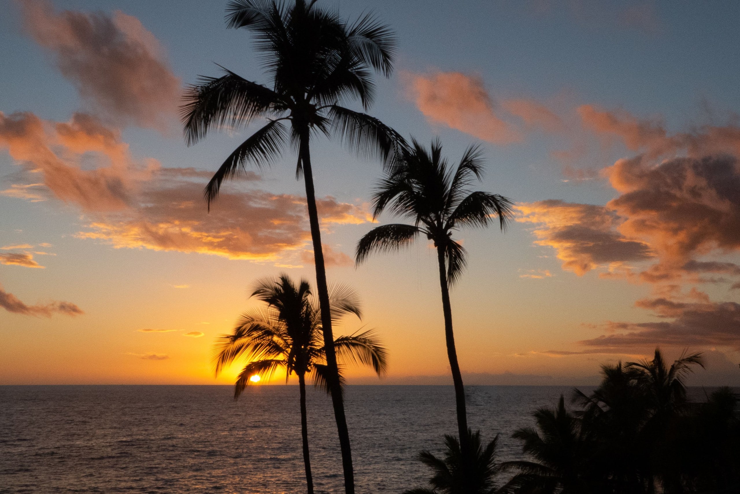Condo in Kailua-Kona · ★4.9 · 1 bedroom · 2 beds · 1 private bath - Image 17