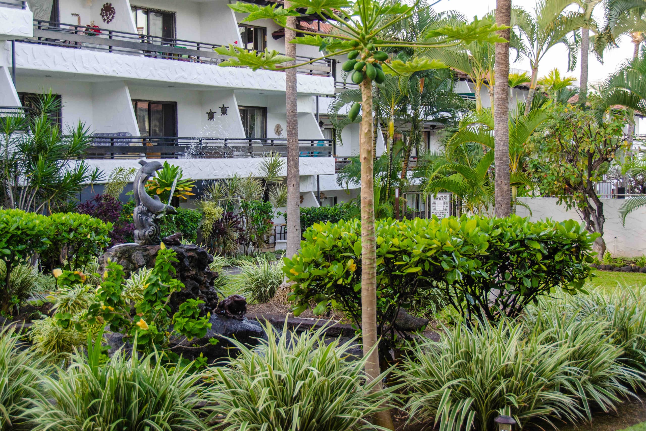 Condo in Kailua-Kona · ★4.9 · 1 bedroom · 2 beds · 1 private bath - Image 15