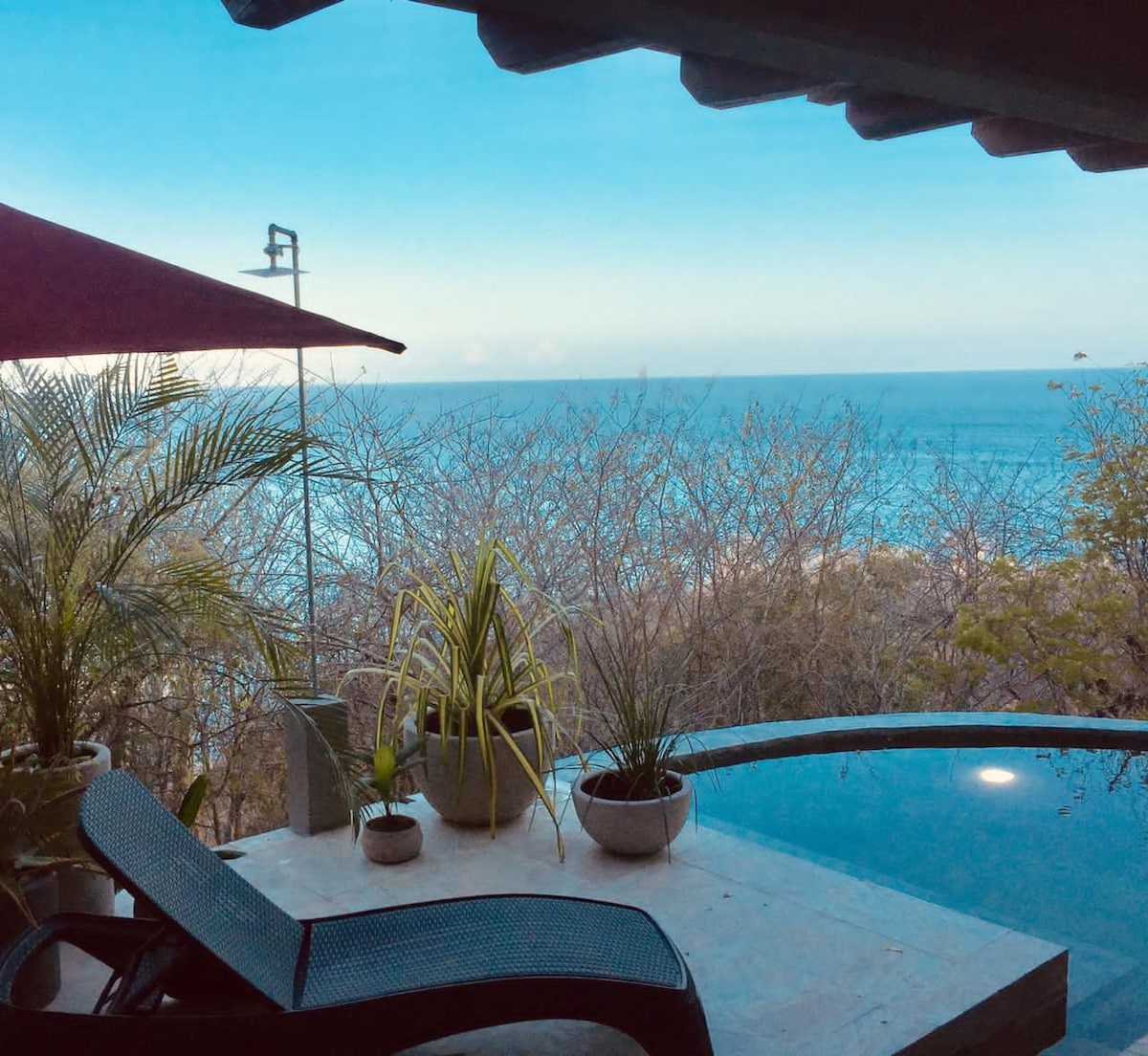 A serene view is captured from a terrace overlooking the ocean, featuring a small infinity pool and multiple potted plants. Sunlight reflects off the water, while a shaded area provides comfort. Bare branches and greenery surround the scene, enhancing the connection to nature.