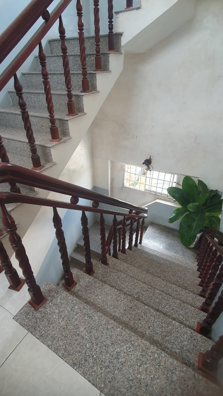 A staircase with a polished wooden railing leads downward, flanked by a textured wall. Natural light enters through a window at the bottom, highlighting a green plant positioned on the landing, adding a touch of nature to the space.
