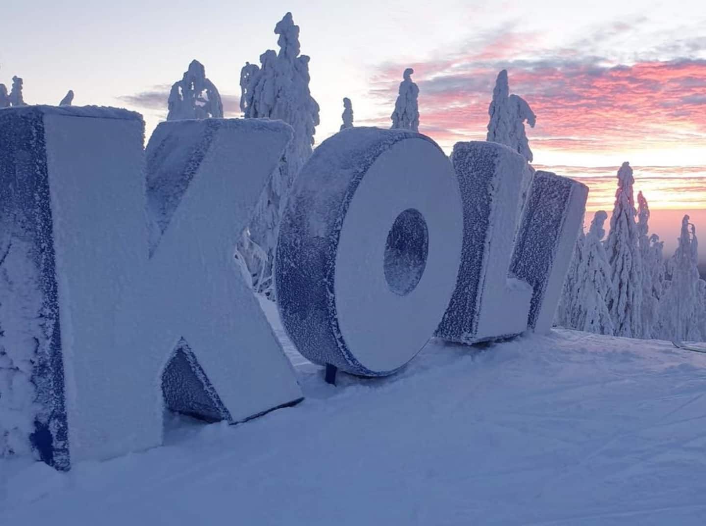 Koli Saunaharju 7 • Wifi  • Sauna • Hyvä Varustelu 4