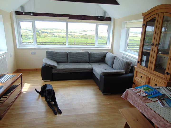 โซฟาเลานจ์อัพเดท