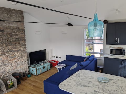 Top Airbnb: Central flat south roof terrace and parking permit in Dartmouth