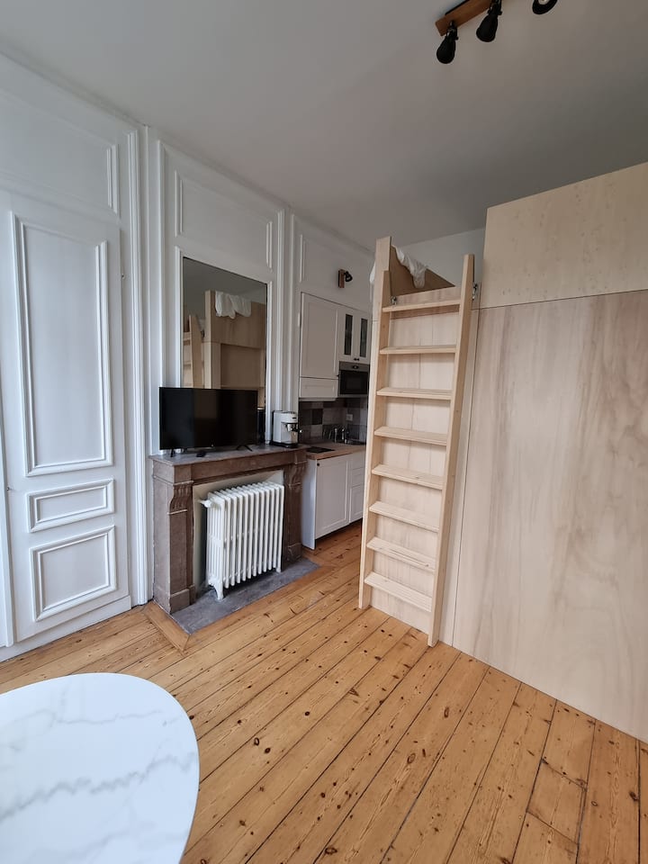 Studio Privé Indépendant Maximilien, Beaux-arts - Lille
