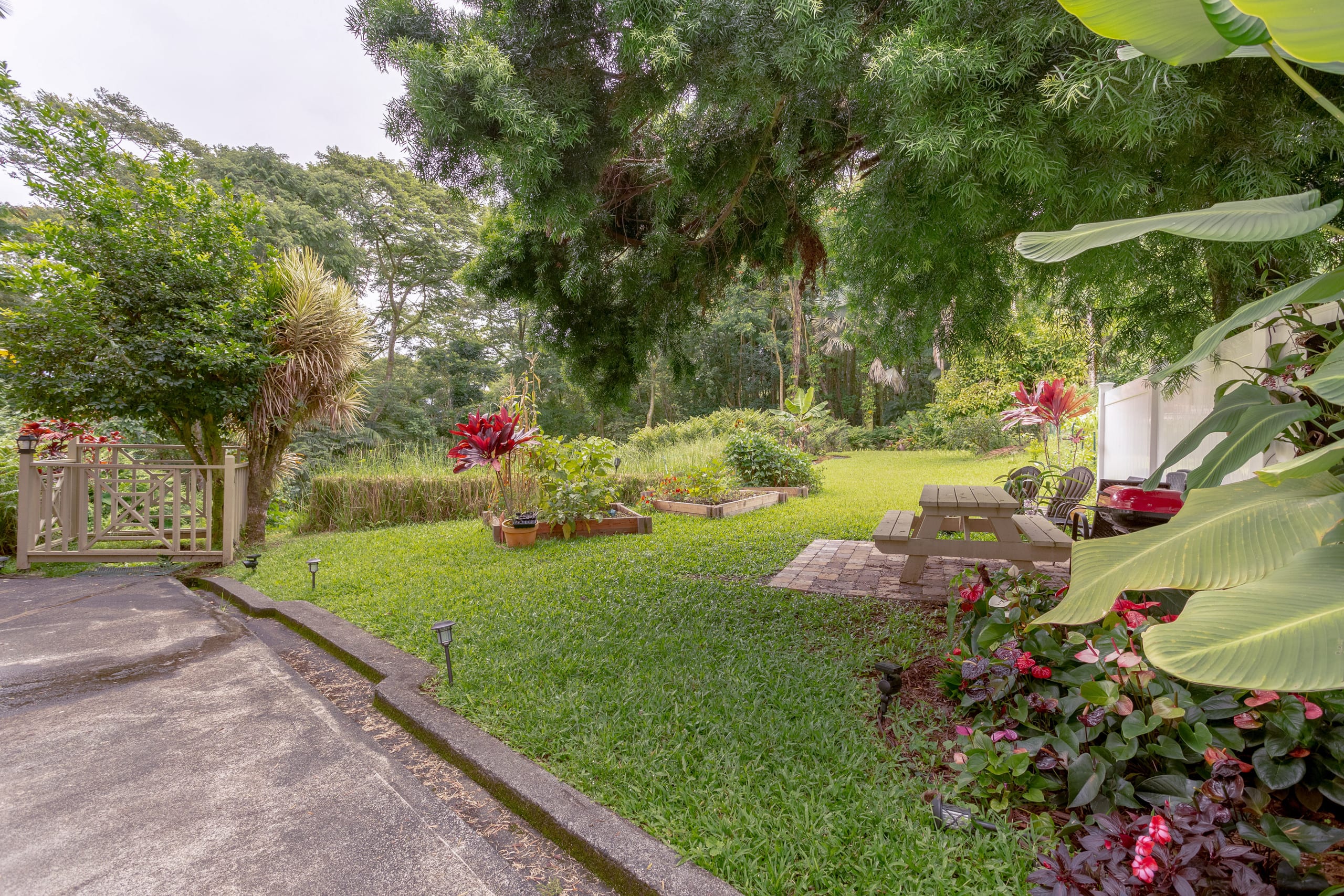 Awesome jungle view loft just 5 minutes to Hilo! - Photo 26