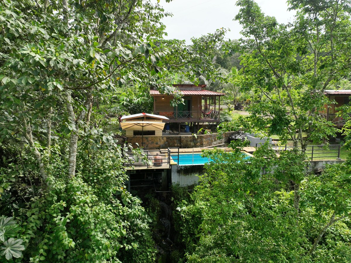 A view of the organic farm illustrates wooden houses nestled among lush greenery, with a swimming pool visible below. A shaded area with a sun umbrella complements the outdoor space, surrounded by vibrant trees and plants that enhance the connection to nature.