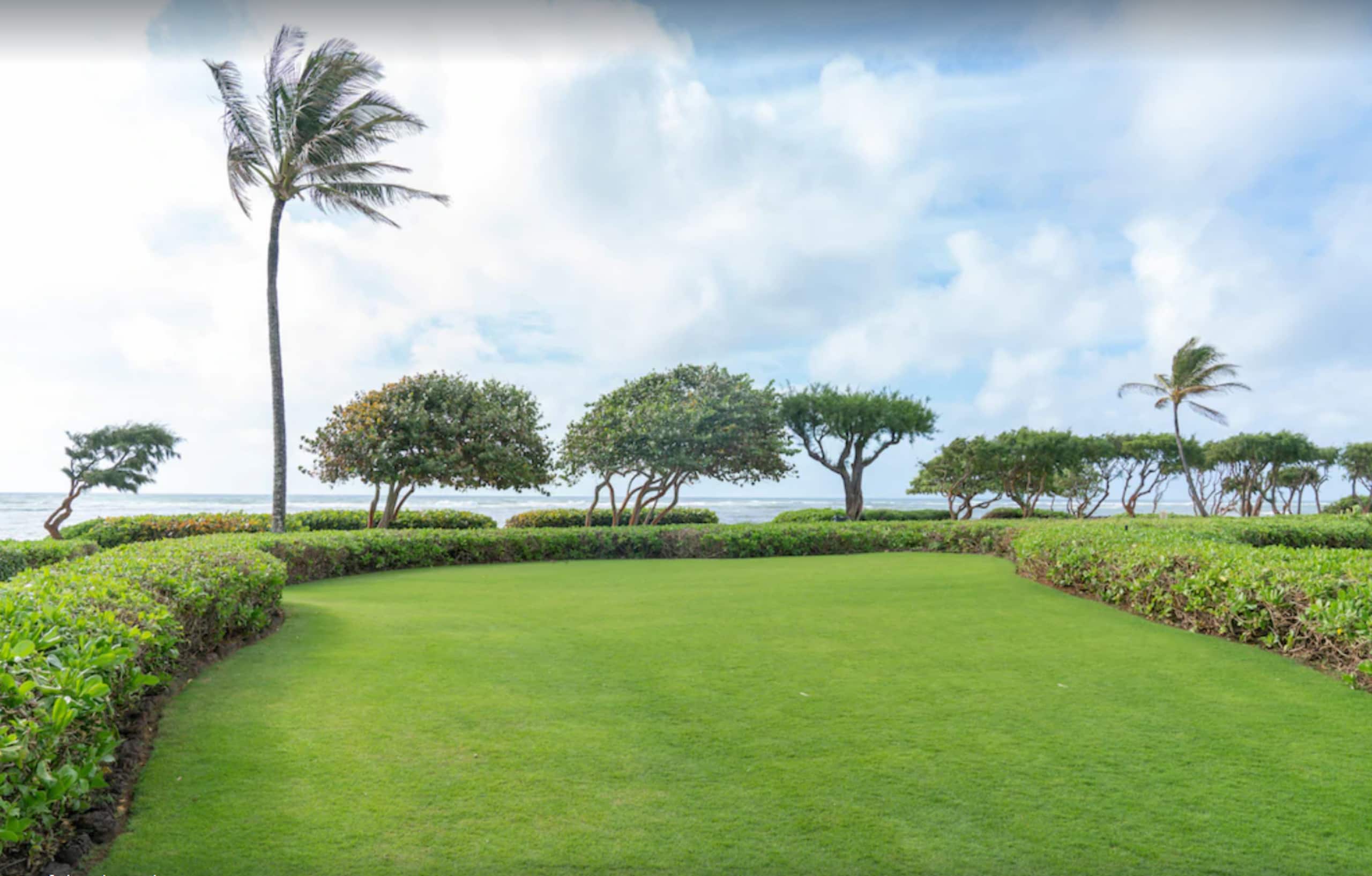 Aloha Beaches 1st floor Garden View steps to Beach - Photo 33