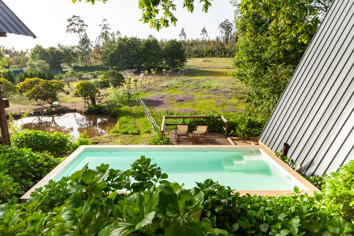 A tranquil outdoor space features a small pool surrounded by lush greenery. Chairs are positioned near the pool, offering views of the surrounding fields and trees, with a pond visible in the distance.