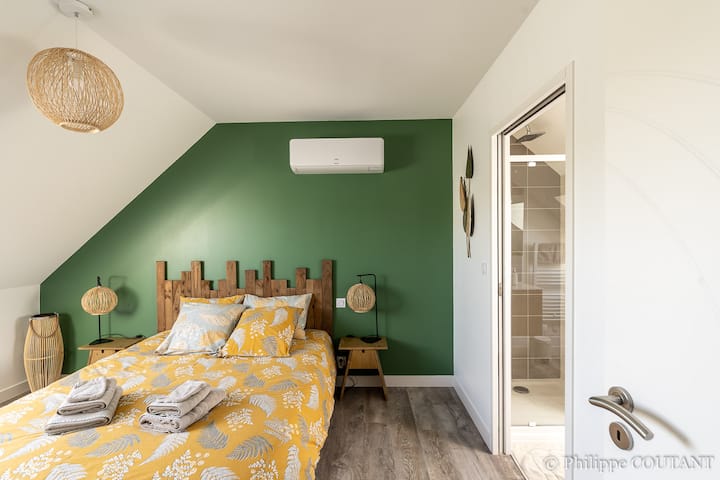 Მთავარი საძინებელი „ბუნება“ საწოლი 160 სმ, ტელევიზორი, კონდიციონერი. სააბაზანო.