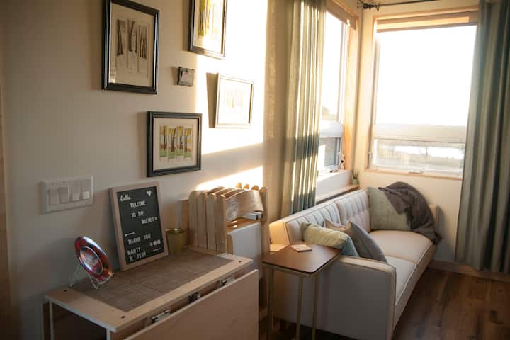 late afternoon sunlight streaming in the large 42x66 inch windows