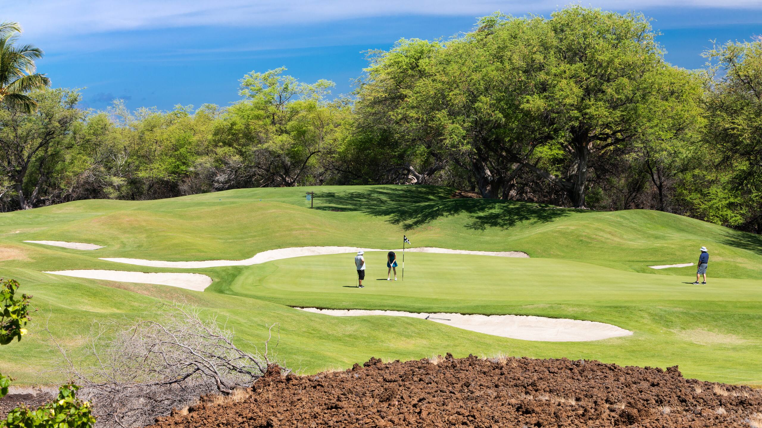 Home in Waimea · ★4.96 · 4 bedrooms · 6 beds · 3 baths - Image 62