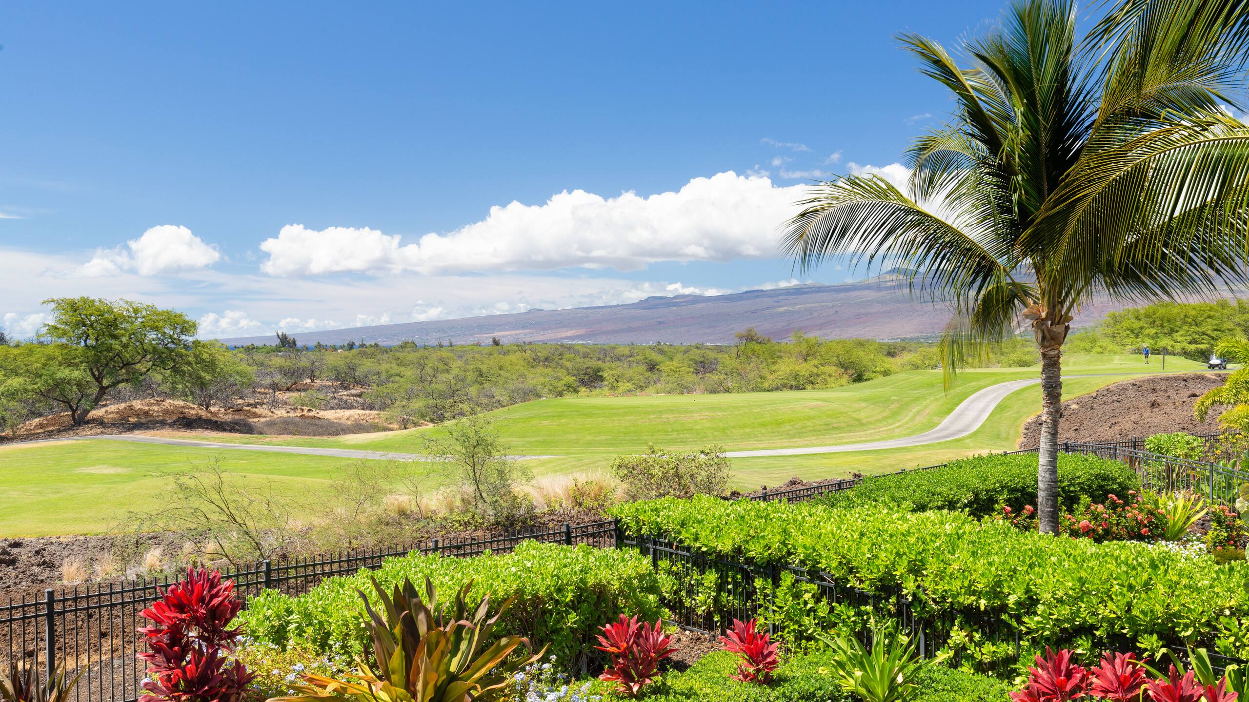 Home in Waimea · ★4.96 · 4 bedrooms · 6 beds · 3 baths - Image 24