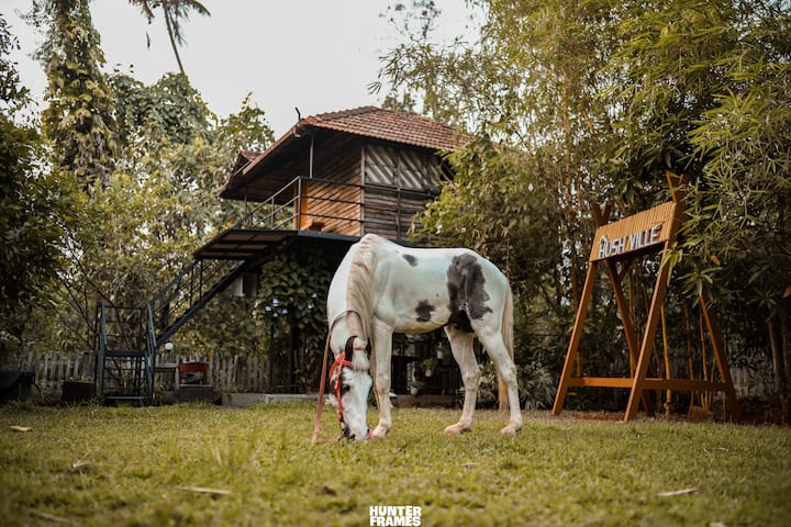 Hush Ville - An Eiffel Hideaway! - Thodupuzha