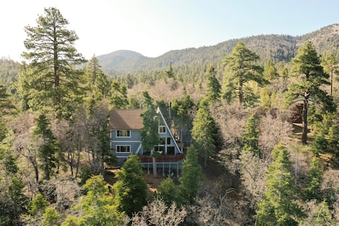 Successful Airbnb property: Climbing Bear Cabin in Big Bear Lake