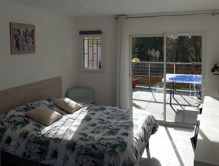 Habitación 1