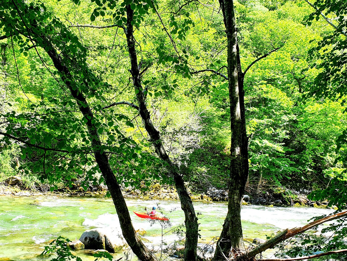 A serene river scene is framed by lush green trees, with sunlight filtering through the leaves. A kayak is seen on the water, surrounded by smooth stones and flowing currents. The vibrant greenery creates a refreshing backdrop for outdoor activities.