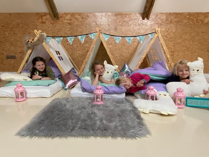 คุยกับ @ greenslothceirbnbations หากคุณต้องการเช่าเต็นท์ปาร์ตี้ธีมสำหรับเด็กๆ! 