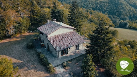 Airbnb con migliori performance: Villa Cerfoglio, peace in the Romagna hills a Forli' Cesena