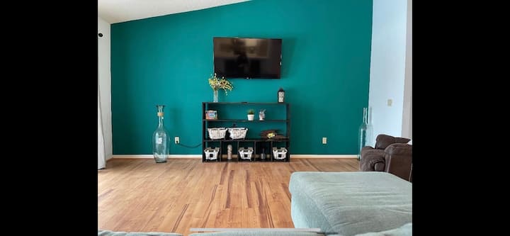 Cheerful Spacious 4 Bedroom Home  With Pool - Spring Hill, FL
