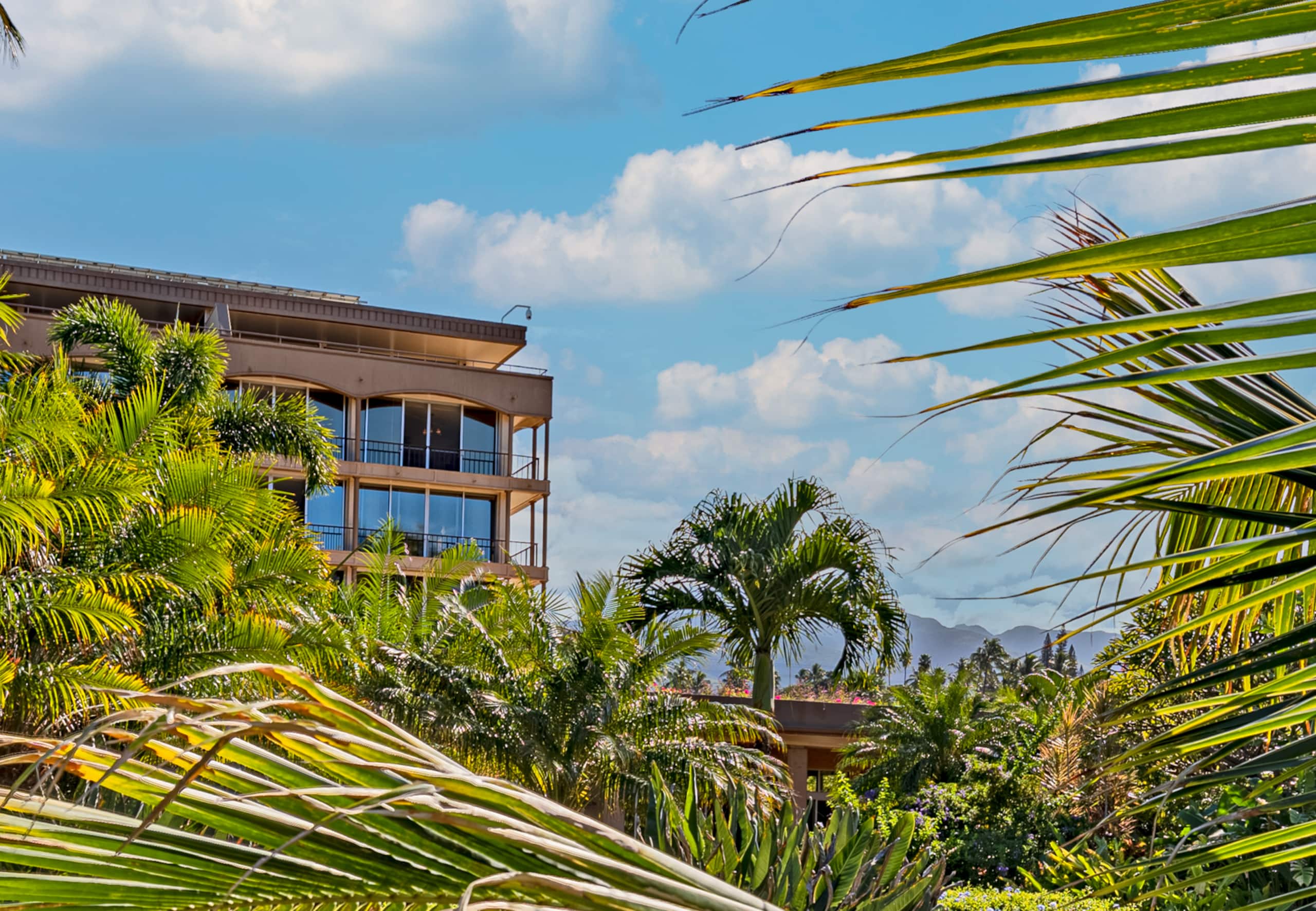 Stunning Top-Floor Oceanfront View Suite! - Image 35