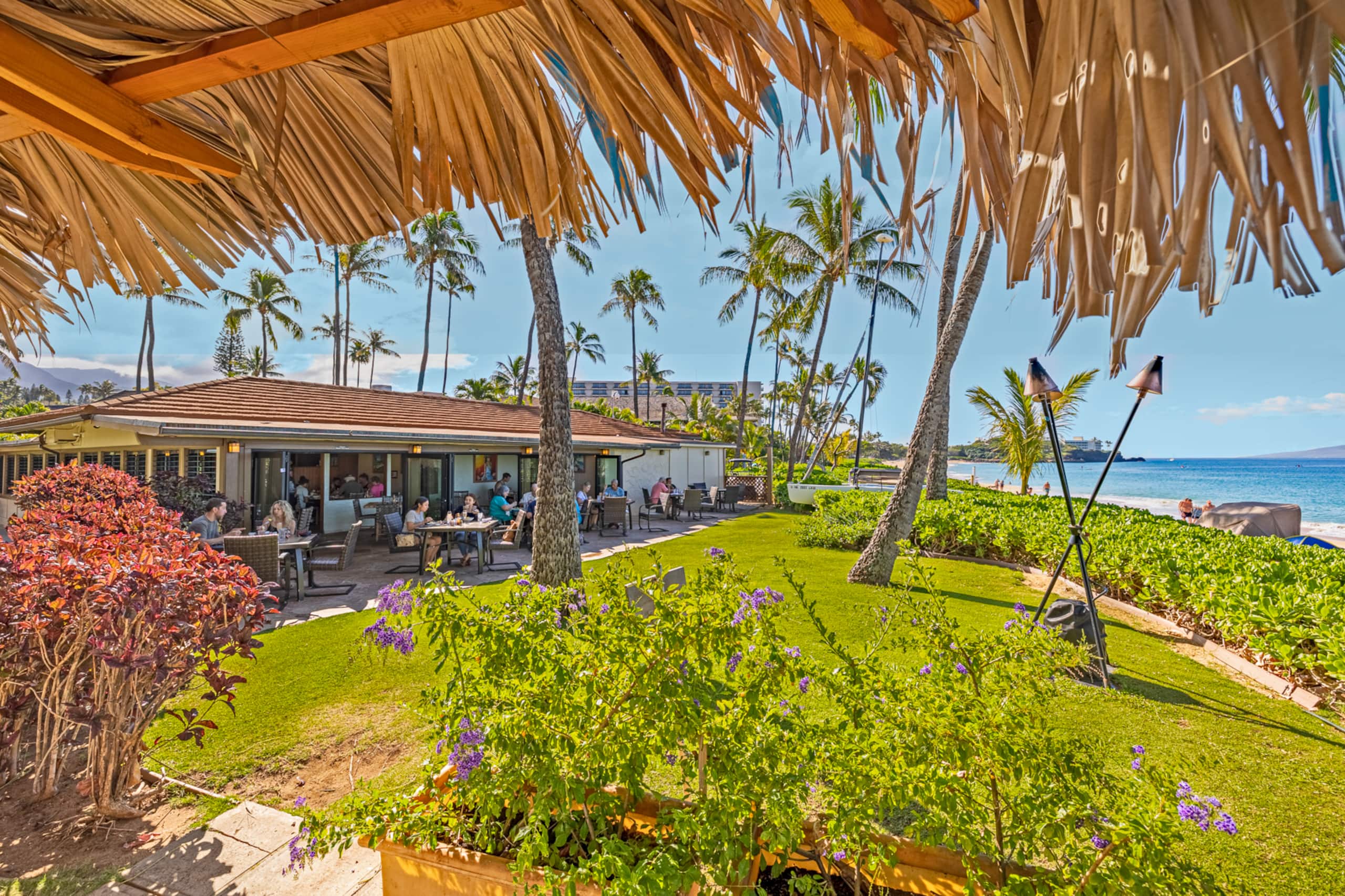 Stunning Top-Floor Oceanfront View Suite! - Image 42