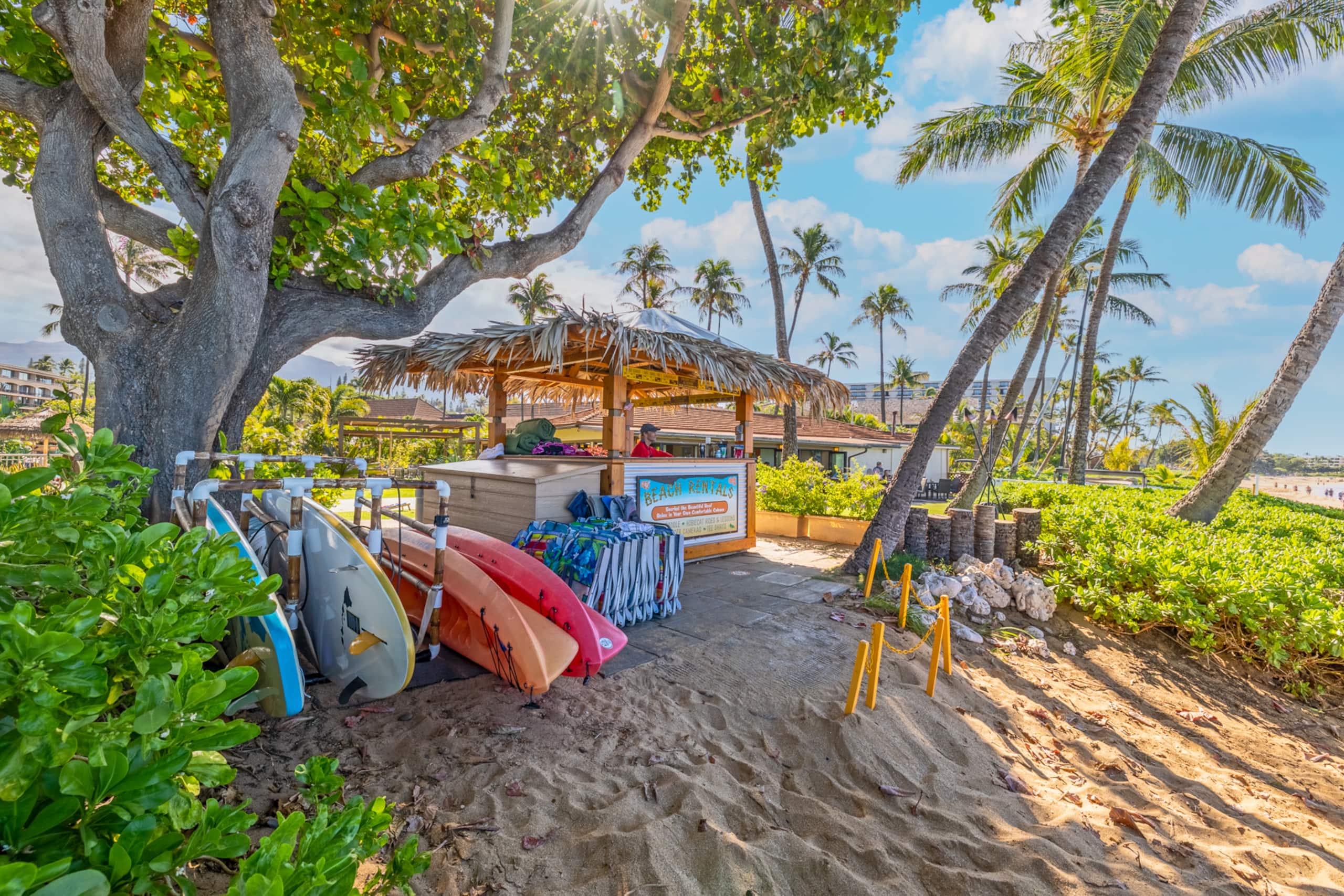 Stunning Top-Floor Oceanfront View Suite! - Image 50