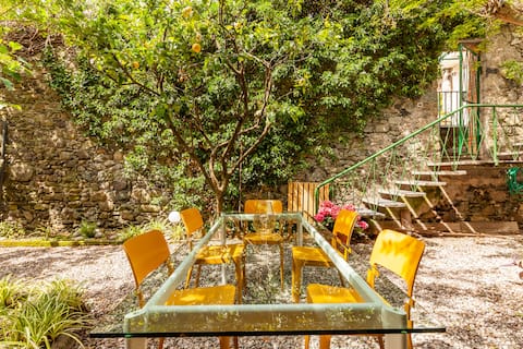 House, beach and garden: "La Rana e il Gigante"