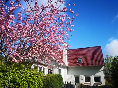 245 m2 super 'cosy' villa